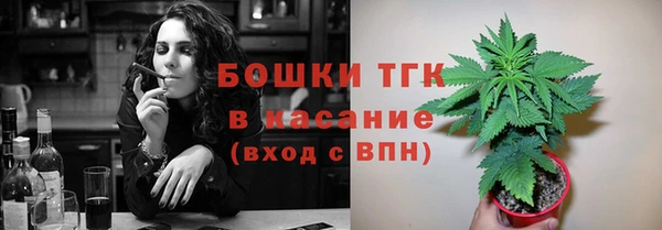 амф Саяногорск