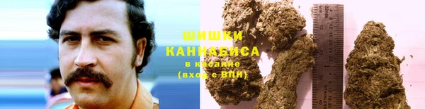 амф Саяногорск
