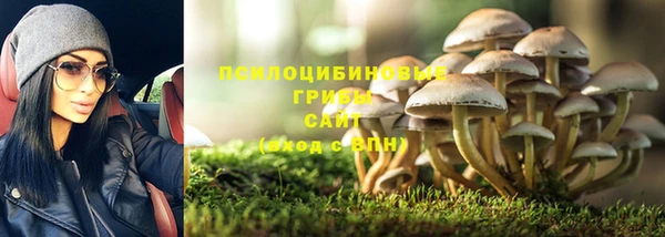 ПСИЛОЦИБИНОВЫЕ ГРИБЫ Абдулино