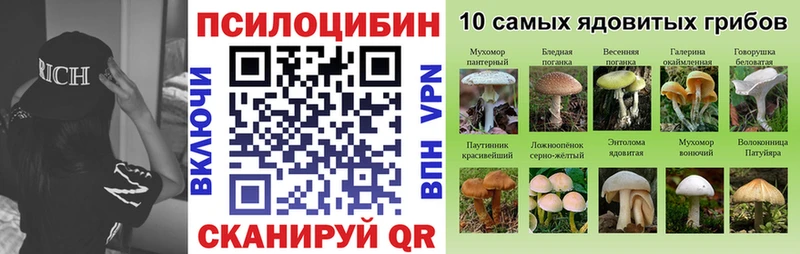 Псилоцибиновые грибы Psilocybine cubensis  Донецк 