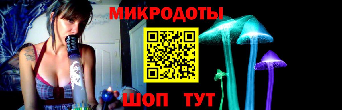 Псилоцибиновые грибы Psilocybine cubensis Донецк